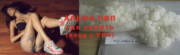 индика Нягань
