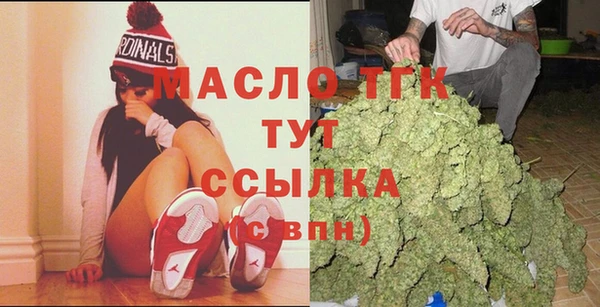 индика Нягань