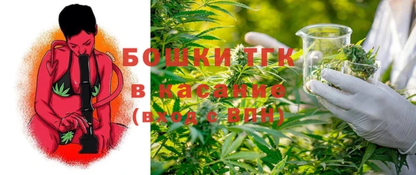 сатива Новокубанск