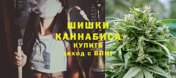 гидра Новозыбков