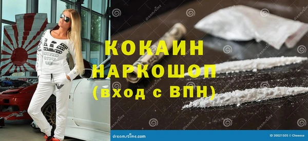 гидра Новозыбков