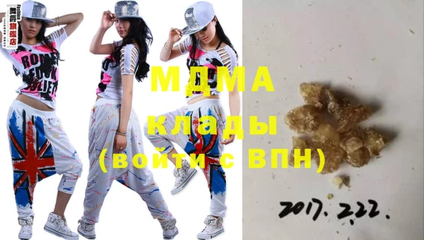 индика Нягань