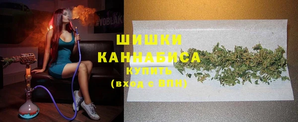 сатива Новокубанск