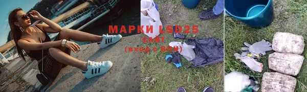 индика Нягань