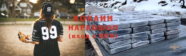 индика Нягань