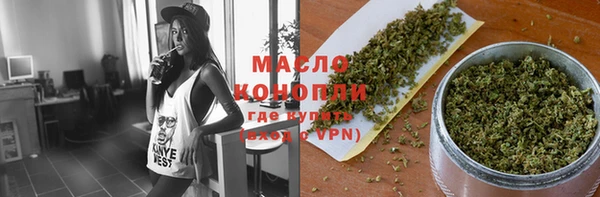 индика Нягань