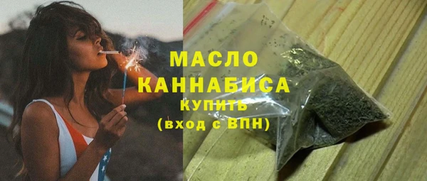 гидра Новозыбков