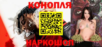jwh Кингисепп