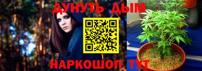 jwh Кингисепп