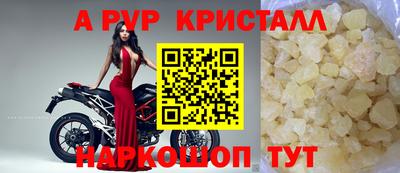 jwh Кингисепп
