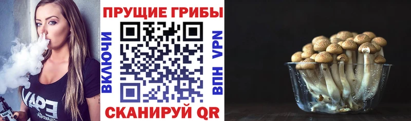 Псилоцибиновые грибы Magic Shrooms  Куйбышев 